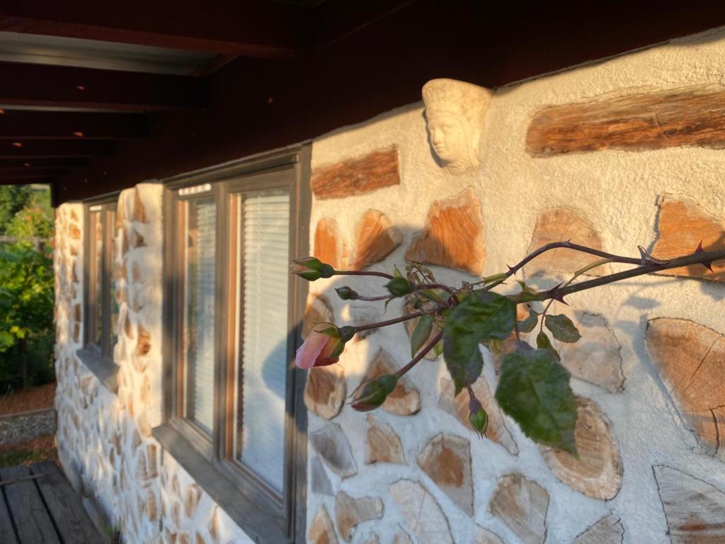 Saint-Racho La Maison Du Potager מראה חיצוני תמונה